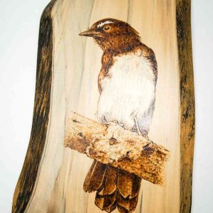A Willie Wagtail bird is burned into a light piece of timber.