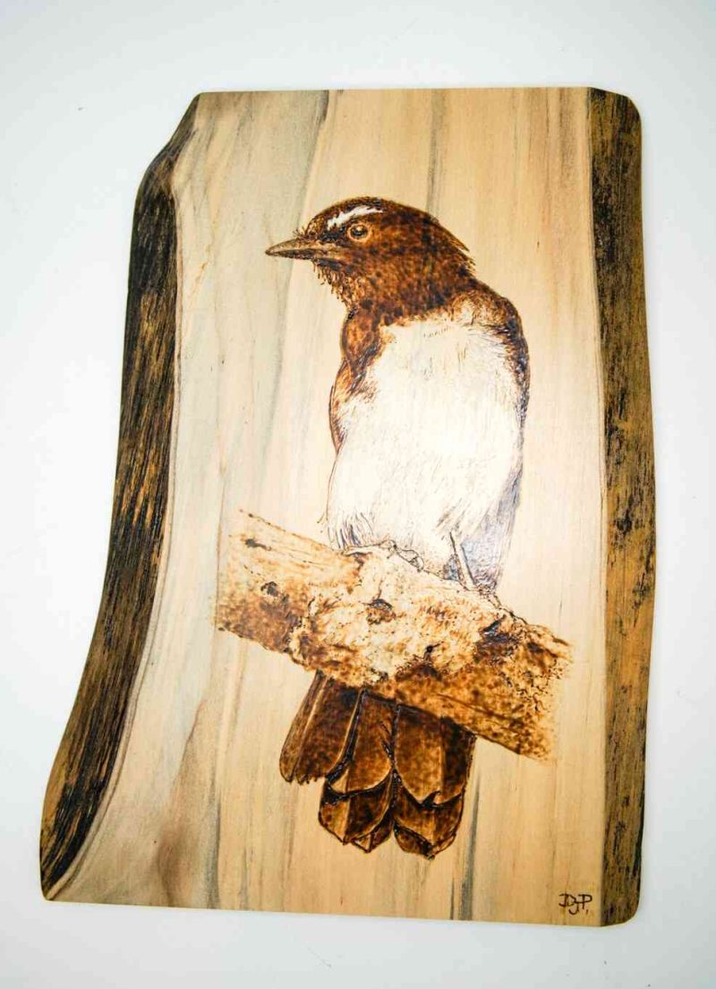 Dallas -5 A Willie Wagtail bird is burned into a light piece of timber.