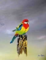 An oil painting of an Eastern Rosella perched on a weathered wooden post. The bird’s plumage is vividly rendered with thick, textured strokes of red, yellow, green, and blue, standing out against a softly blended grey and pale yellow background. The artist’s signature, Sue Adams, appears in the lower right corner, adding a refined finishing touch to the composition.