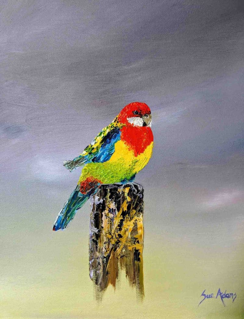 Eastern Rosella An oil painting of an Eastern Rosella perched on a weathered wooden post. The bird’s plumage is vividly rendered with thick, textured strokes of red, yellow, green, and blue, standing out against a softly blended grey and pale yellow background. The artist’s signature, Sue Adams, appears in the lower right corner, adding a refined finishing touch to the composition.