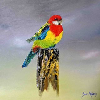An oil painting of an Eastern Rosella perched on a weathered wooden post. The bird is vividly rendered with a red head and chest, yellow belly, green wings, and blue tail, painted in thick, textured strokes that create a lively, dimensional effect. The background fades softly from grey to pale yellow, highlighting the bird’s bright plumage and the artist’s signature, Sue Adams, in the lower right corner.