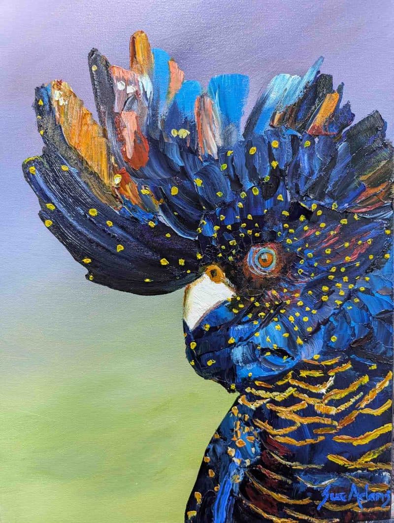 Keeping an Eye on You An expressive oil painting of a black cockatoo titled “Keeping an Eye on You.” The bird’s profile is shown in vivid detail, with thick, textured palette‑knife strokes in deep blues, oranges, and golds. Bright yellow dots accent its feathers, and its intense orange eye stands out against a softly blended lavender and green background. The artwork captures the intelligence and watchful presence of Australia’s native wildlife, signed Sue Adams in the lower right corner.