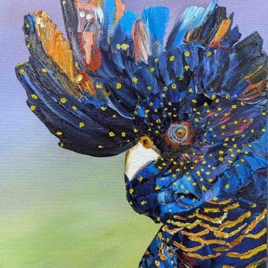 An expressive oil painting of a black cockatoo titled “Keeping an Eye on You.” The bird’s plumage is rendered in bold strokes of deep blue, orange, and gold, with bright yellow spots accentuating its crest and feathers. Its vivid orange eye and white beak stand out against a softly blended background of lavender and green, highlighting the bird’s alert and striking presence.