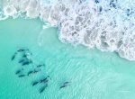 Mylies Beach -A3 Archival Photographic Fine Art Print