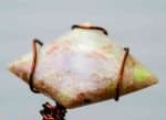 Opal wire pendant, antique bronze (4)