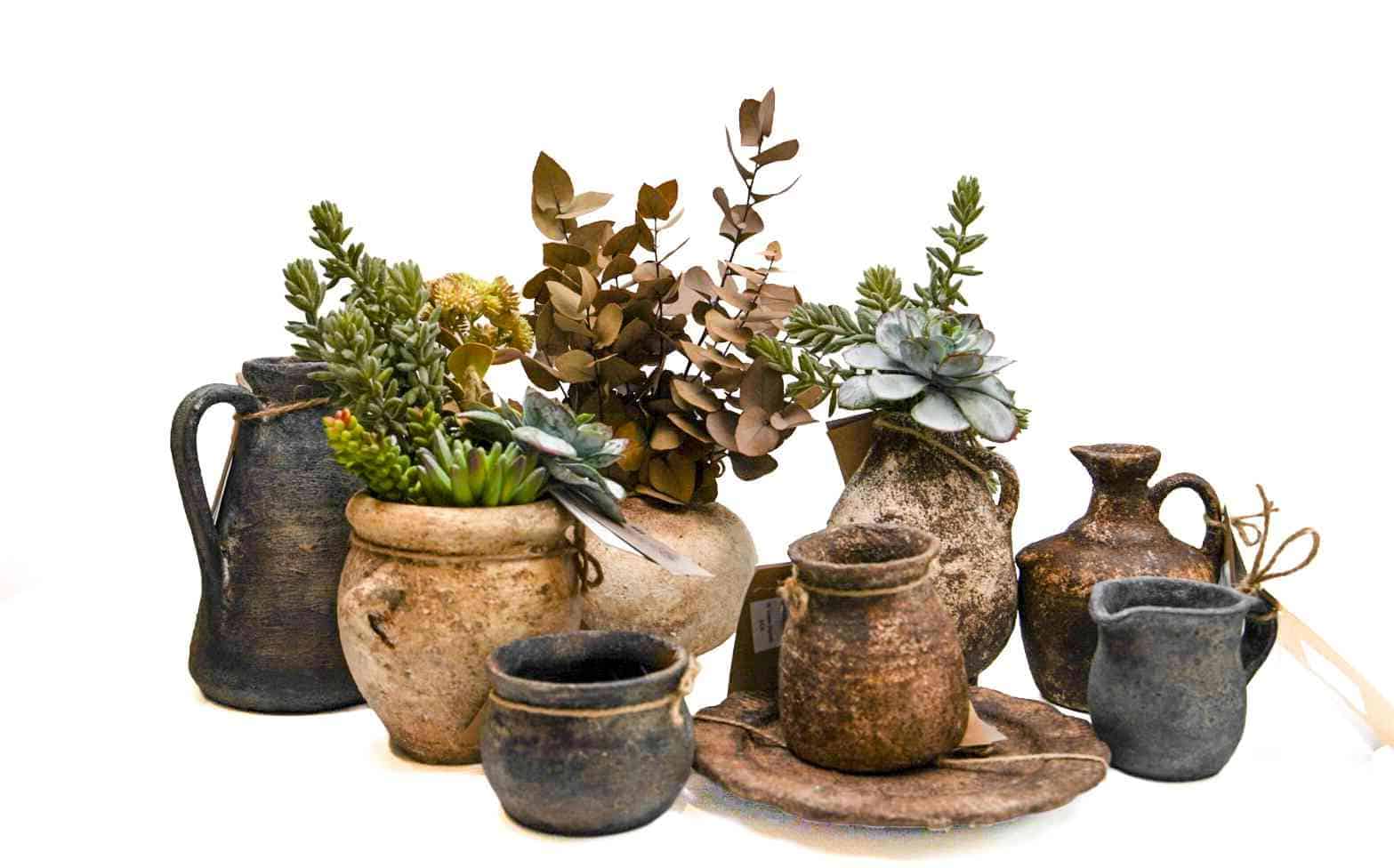 Timeless Botanicals and Gifts