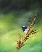 An oil painting titled “Whispering in the Reeds” by Sue Adams. It depicts a Variegated Fairy‑wren perched delicately on a golden reed against a softly blended green background. The bird’s vivid blue and white plumage contrasts beautifully with the warm tones of the reeds, creating a tranquil, jewel‑like moment of stillness within Australia’s wetlands. The artist’s signature appears in the lower right corner.