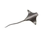 A metal sculpture of an eagle ray lays on an all white background. The ray is made of a dark metal and has some subtle circles on the back to resemble an eagle ray