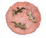 A downwards image of a stoneware oxidised bowl depicting 3 golden lizards